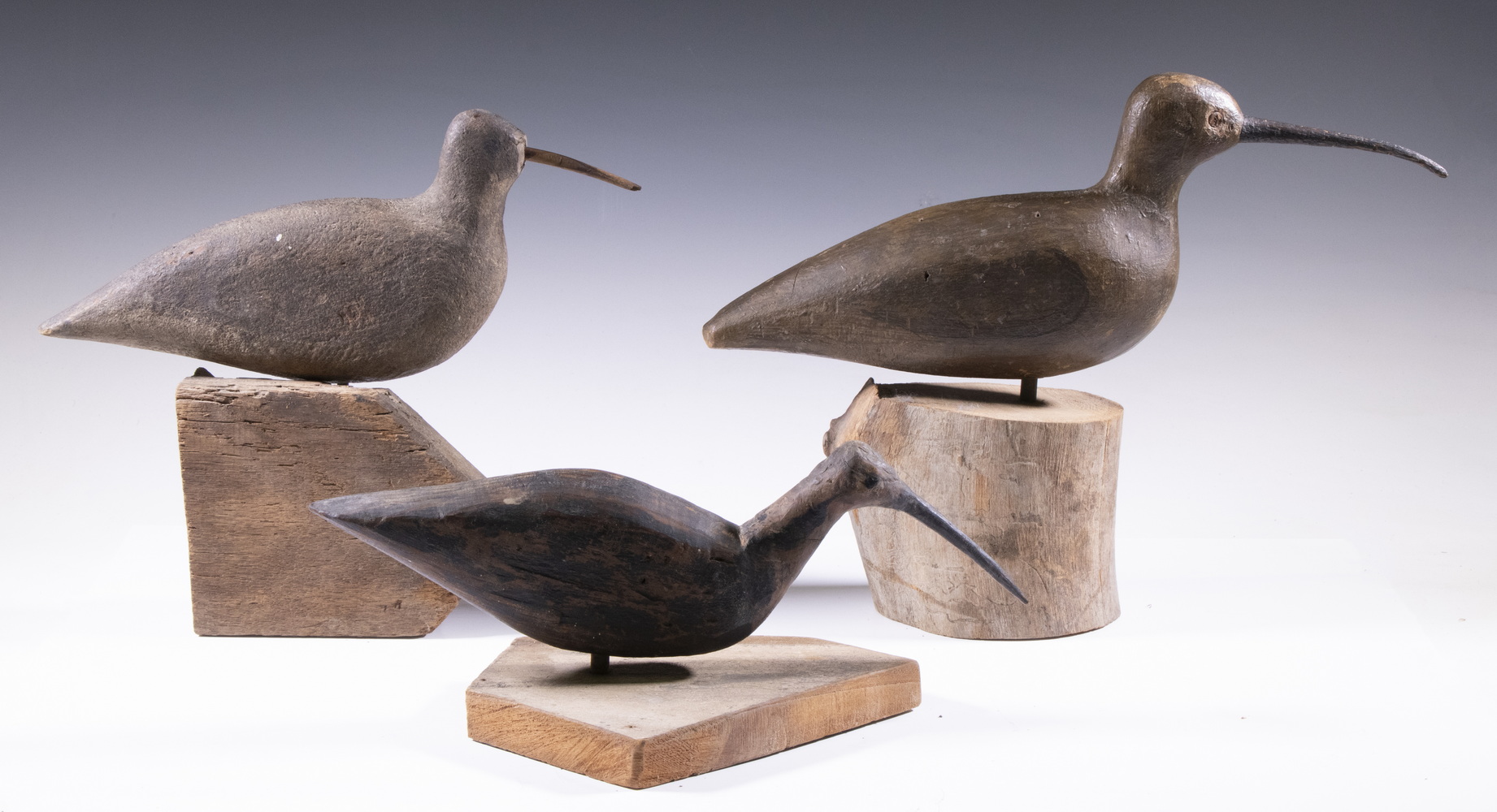  3 NEW JERSEY CURLEW DECOYS Lot 3b6405