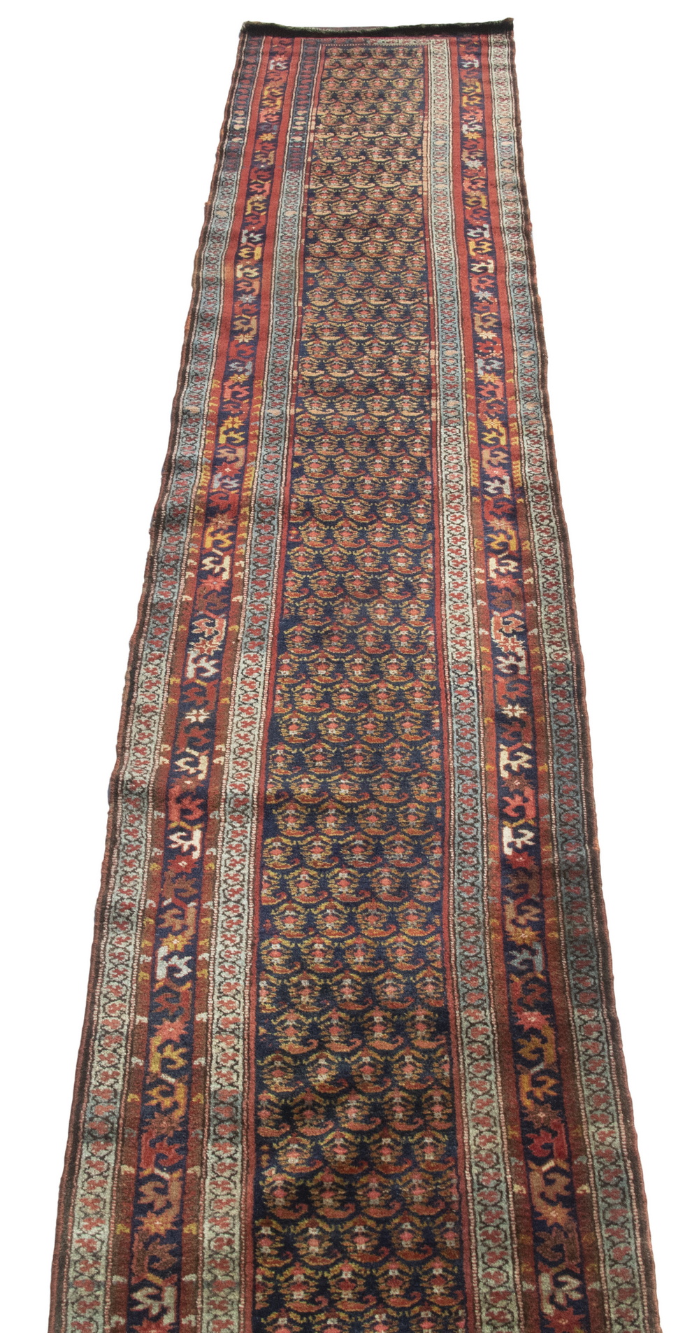 HAMADAN RUNNER (3'2" X 16') Northwest