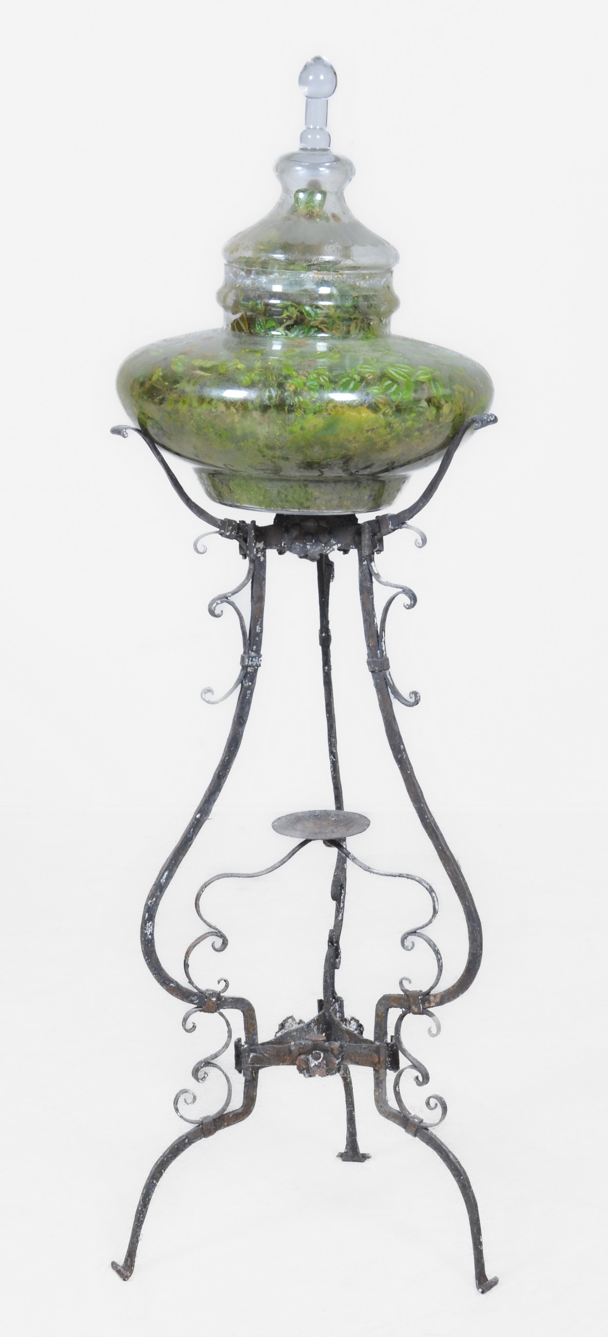 Glass terrarium on scrolled metal 3b6874