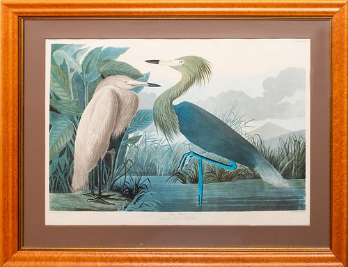 AFTER JOHN JAMES AUDUBON (1785-1851):