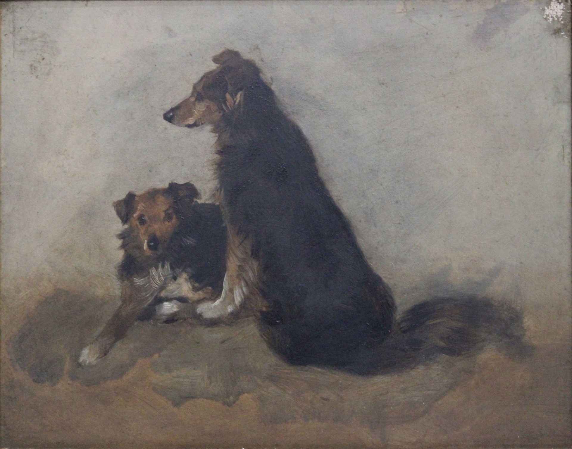 UNSIGNED. OIL ON PANEL. DOGS Oil