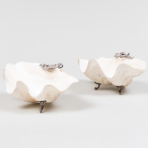 PAIR OF SHELLS MOUNTED WITH SILVER 3bc8d5