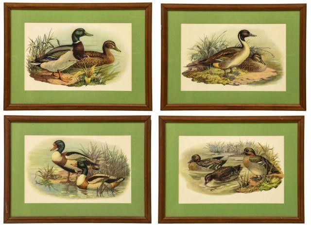  4 FRAMED COLOR PRINTS OF DUCKS lot 3be5a7