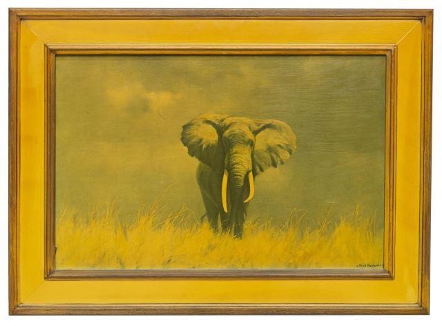 FRAMED ELEPHANT PRINT AFTER DAVID