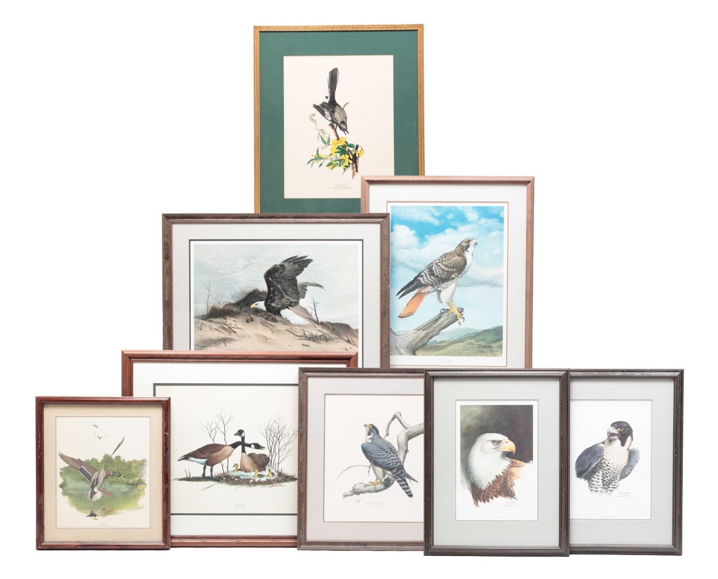 EIGHT FRAMED BIRD PRINTS. American,