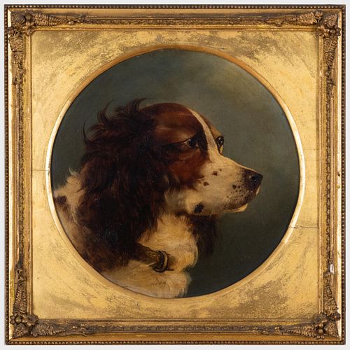 ENGLISH SCHOOL PORTRAIT OF A SPANIELOil 3bd080