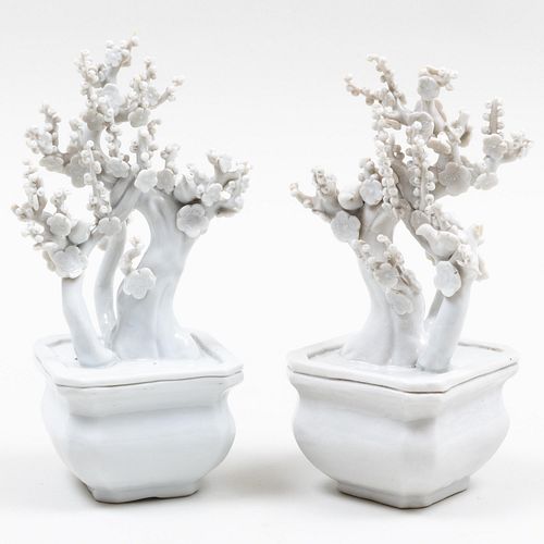 PAIR OF BLANC DE CHINE PRUNUS TREESUnmarked 9 3bd634