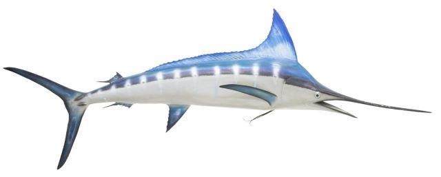 LARGE PAINTED MARLIN REPLICA TROPHY 3c1333