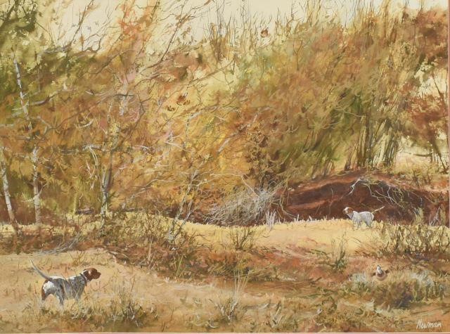 JERRY NEWMAN (1934-2008) QUAIL