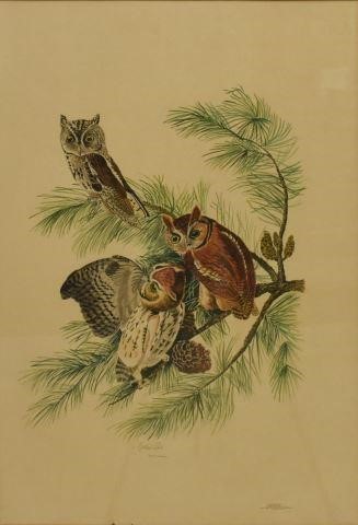 LOIS J. LESTER WATERCOLOR COPY OF AUDUBON