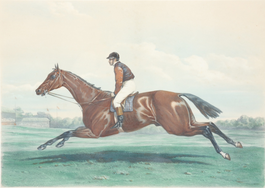 FRENCH RACE HORSE LITHOGRAPH. Mid