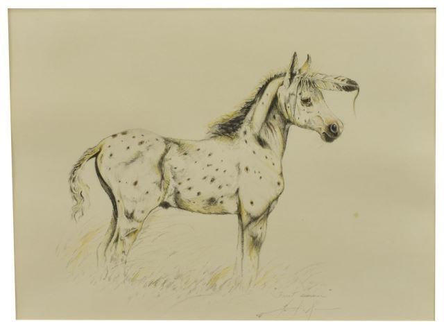FRAMED DRAWING OF A HORSE FOAL  3bfd5d