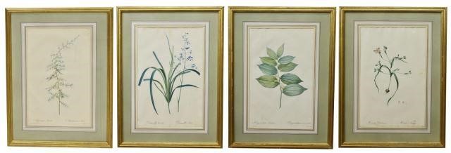  4 FRAMED BOTANICAL ENGRAVINGS 3bff15