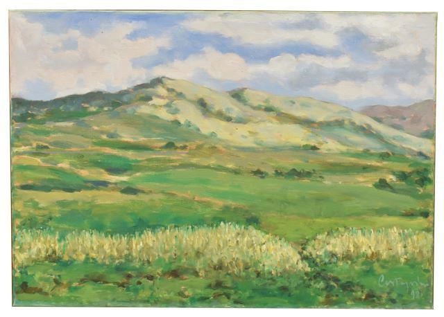 PASTORAL COUNRY LANDSCAPE PAINTING  3bffcf
