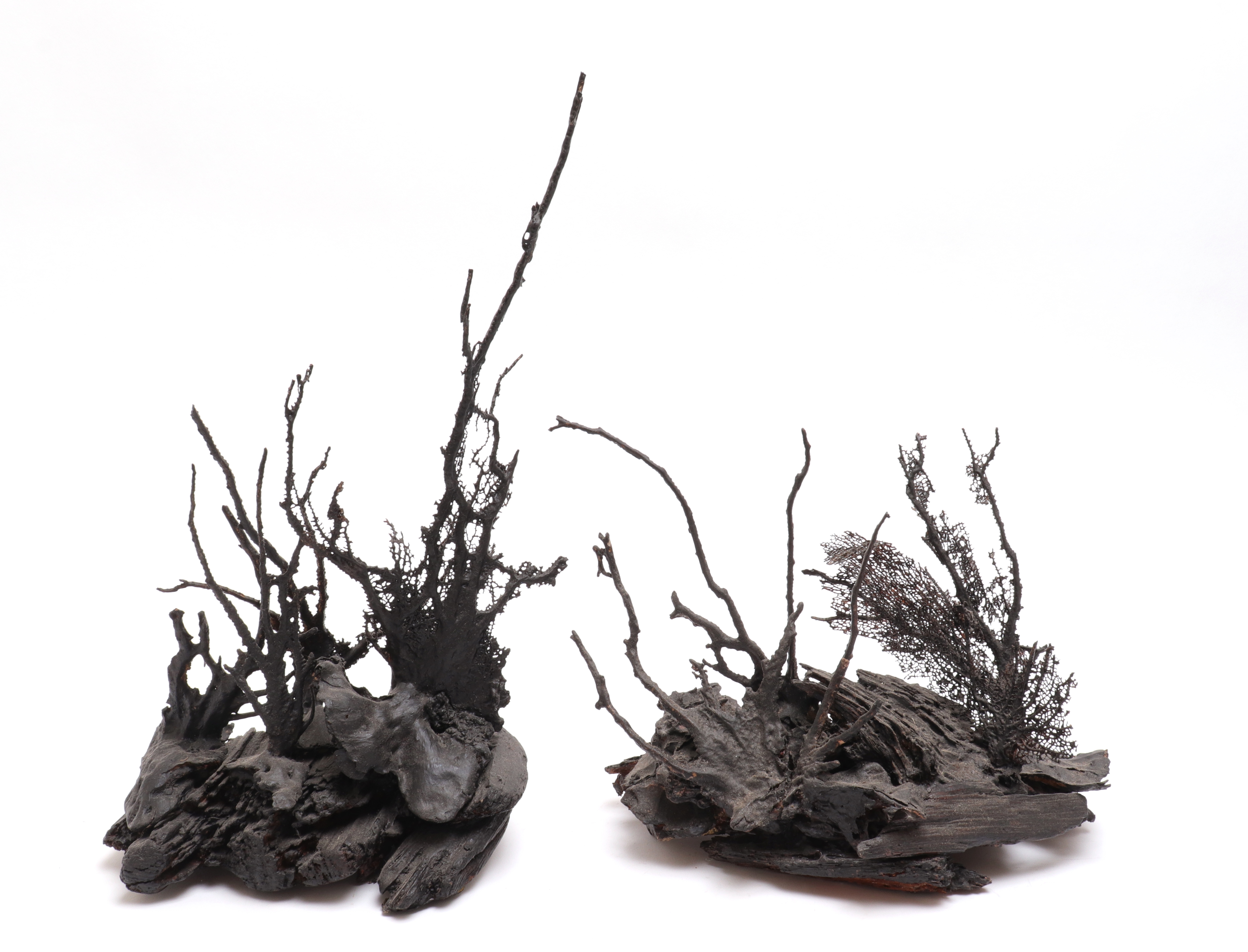 DRIFTWOOD & AQUATIC BLACK PAINTED SCULPTURES,