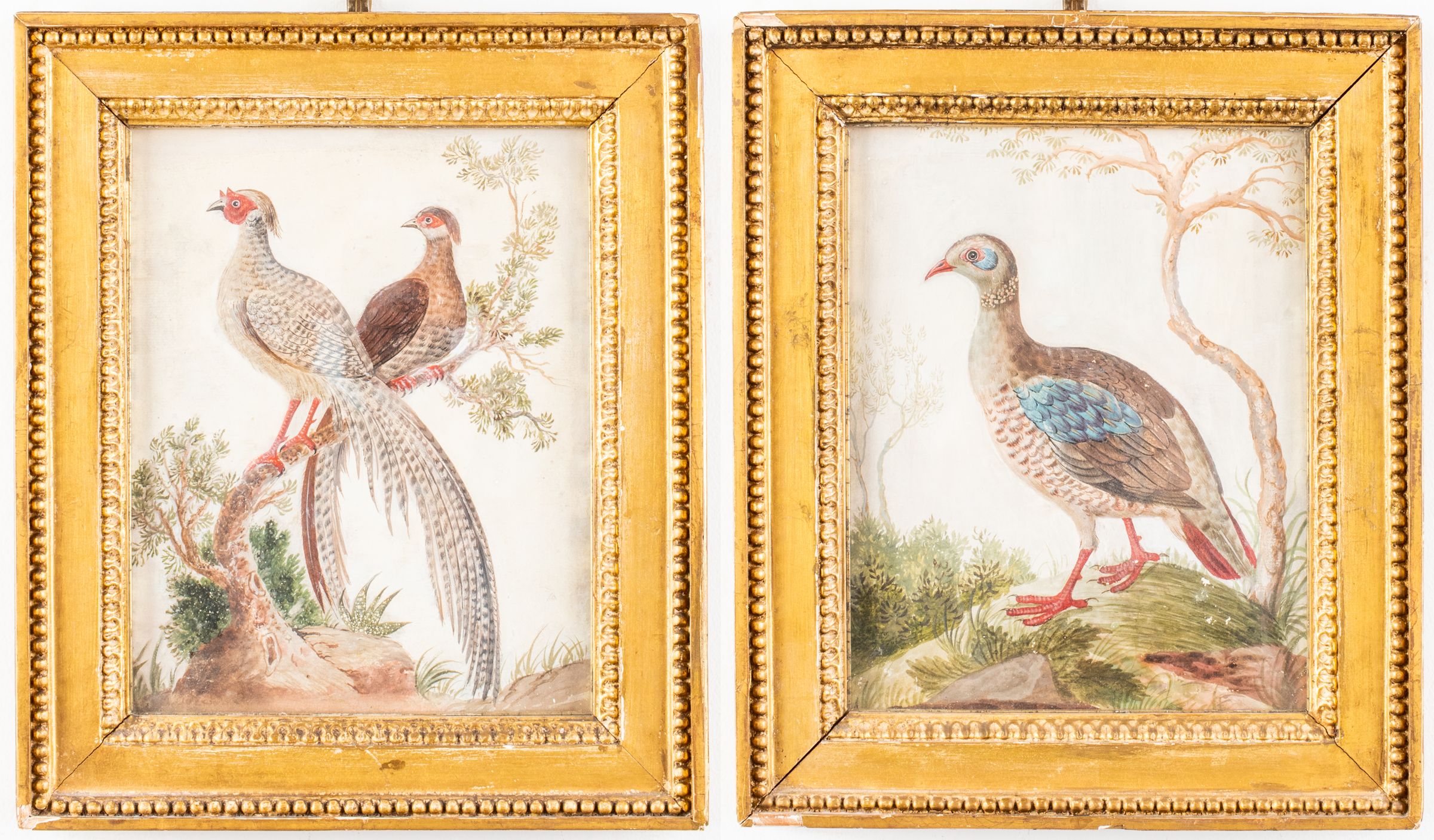 CHINESE EXPORT WATERCOLORS OF BIRDS
