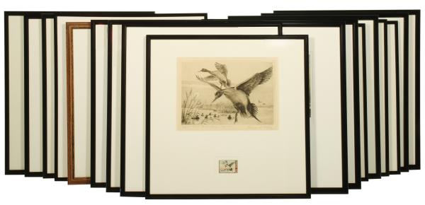 A LARGE COLLECTION OF FEDERAL DUCK STAMPS