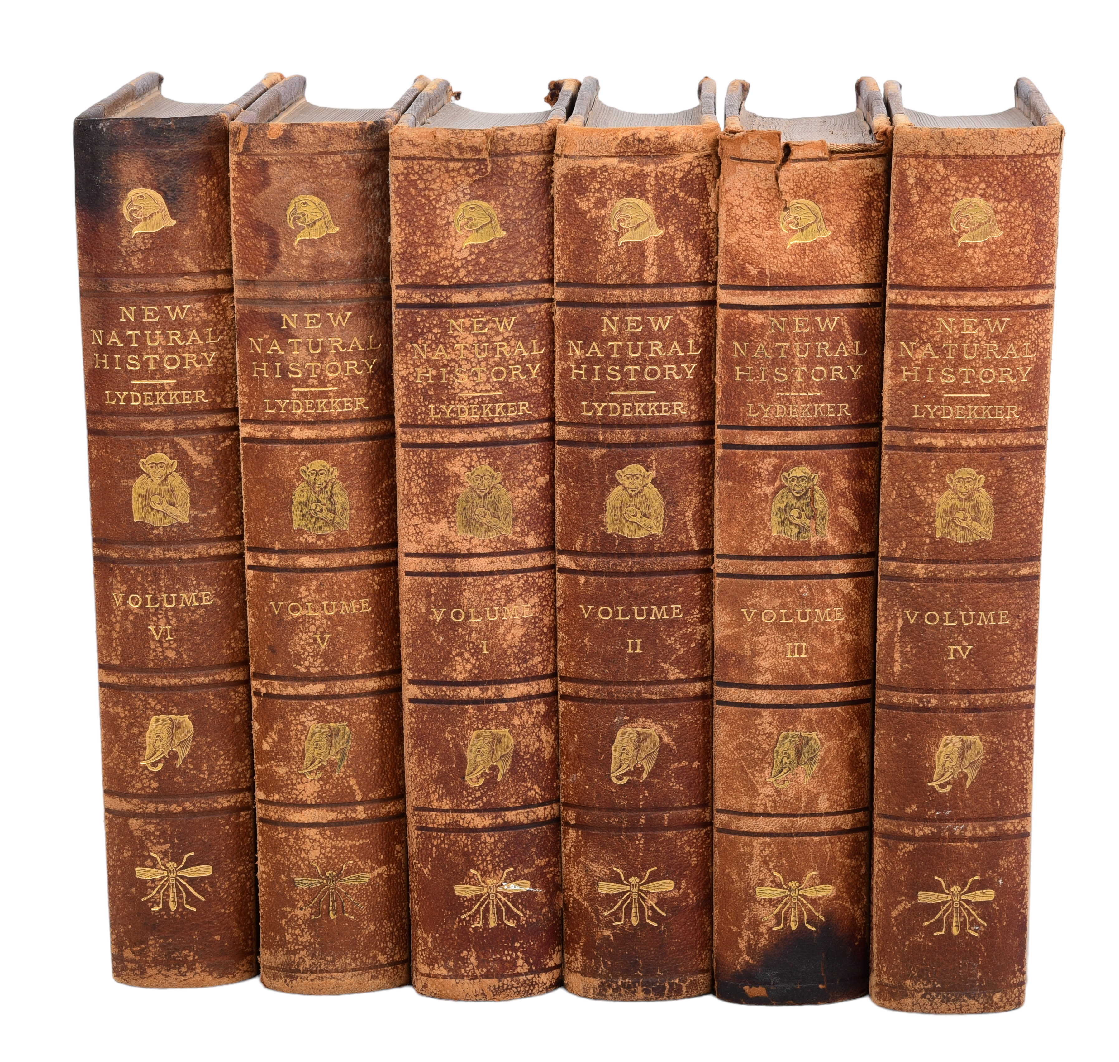 6 Vol Illustrated Natural History  3c681d