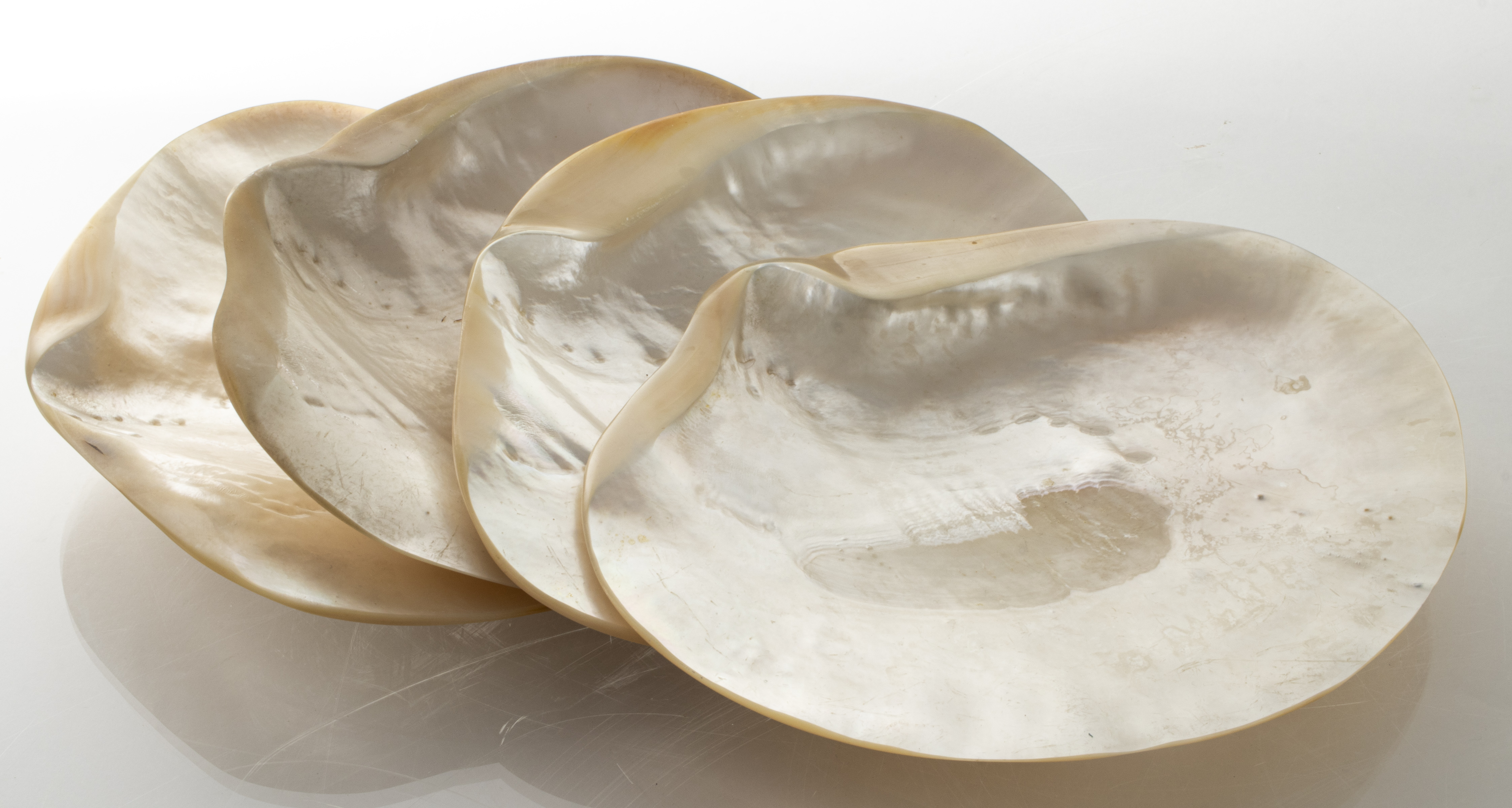 MOTHER-OF-PEARL SHELL CAVIAR PLATES,