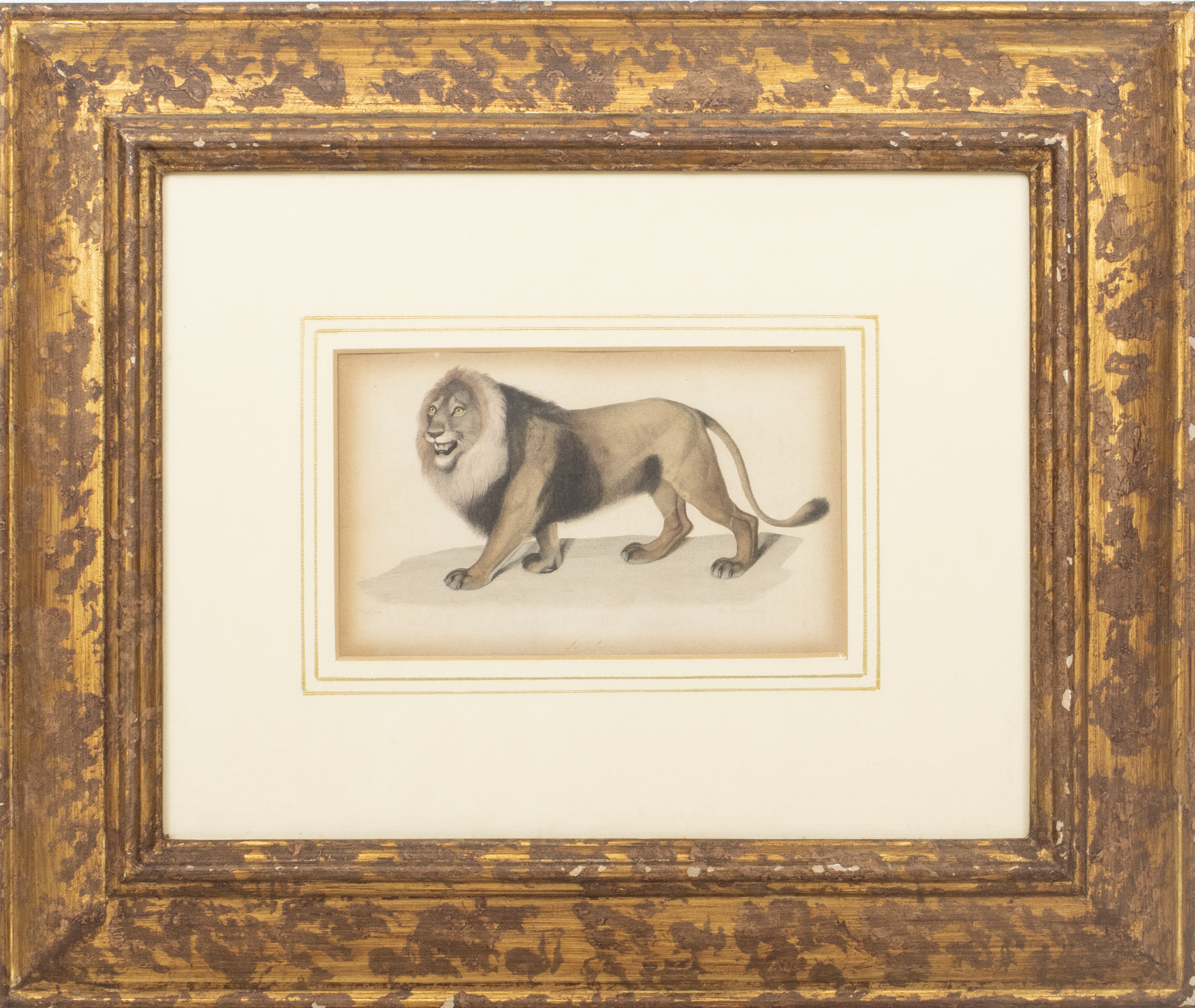 EDOUARD TRAVIES "LE LION" ENGRAVING