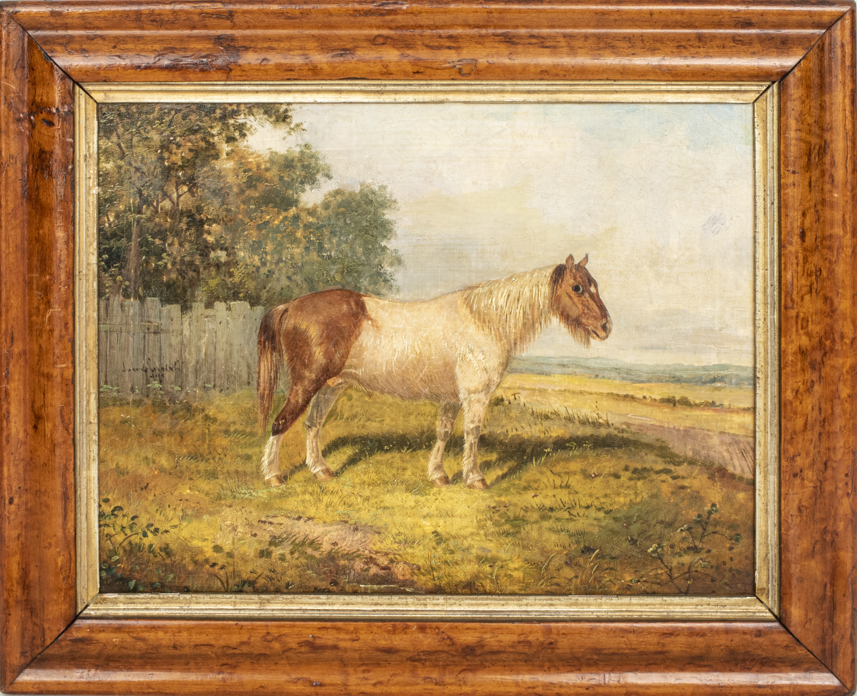 ILLEGIBLY SIGNED PORTRAIT OF A PONY