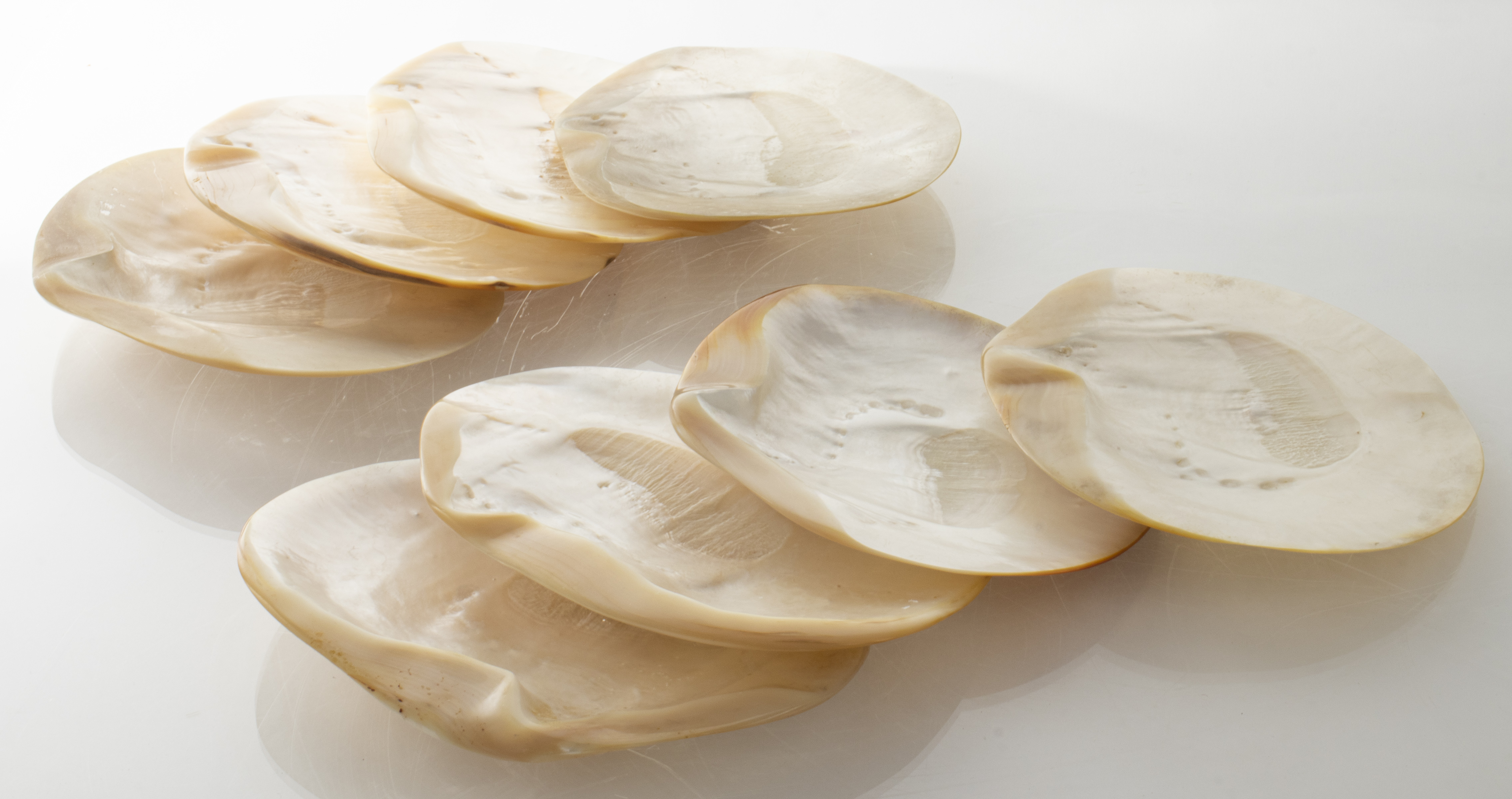 MOTHER-OF-PEARL SHELL CAVIAR PLATES,