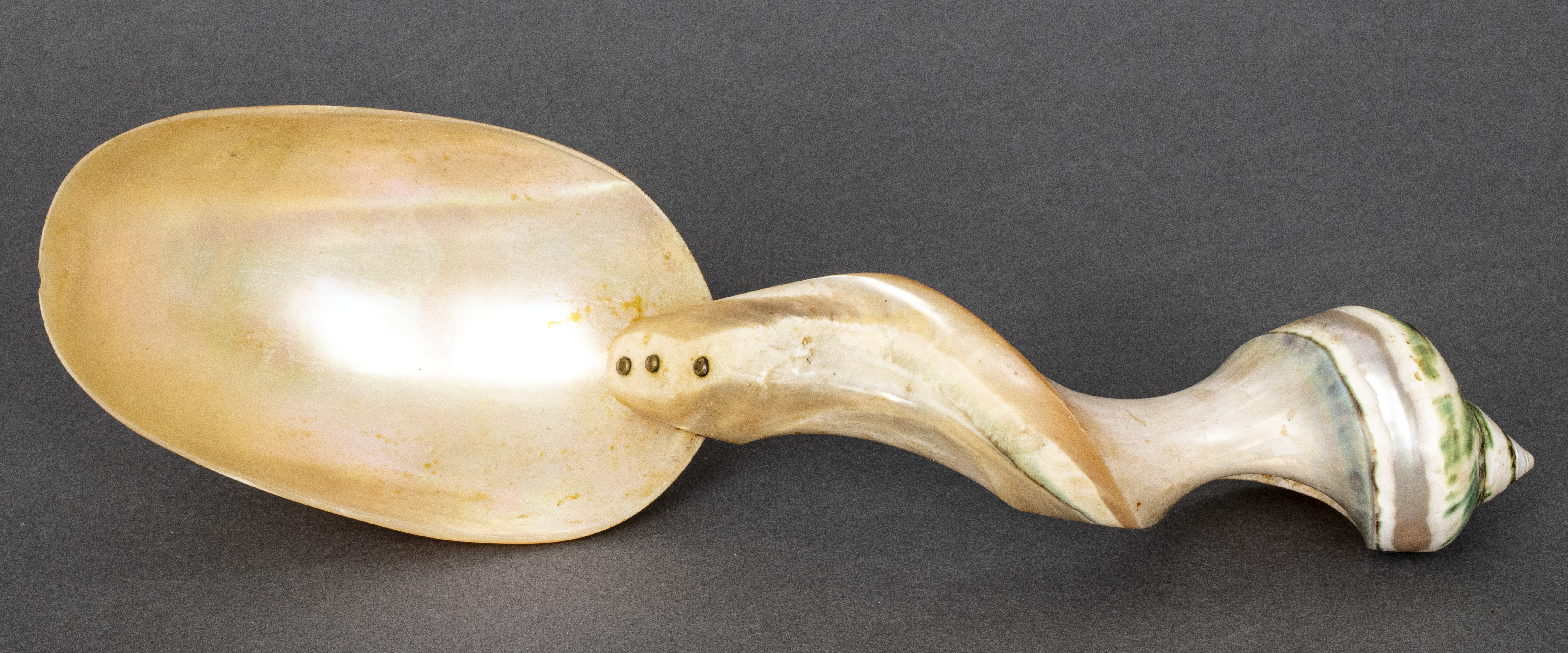 LARGE SEASHELL SERVING SPOON Antique 3c4fb4