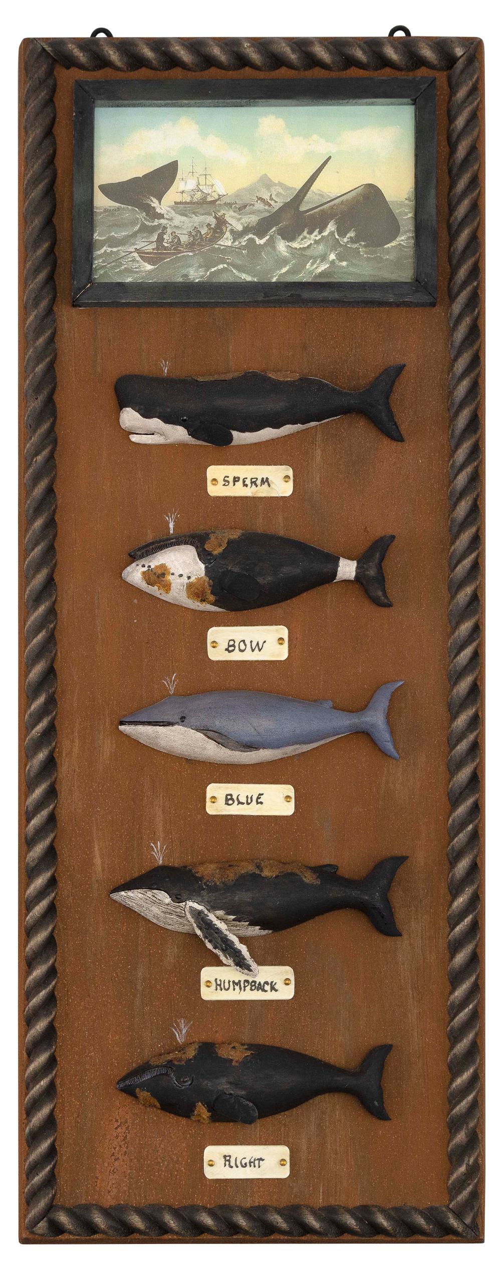 ROGER MITCHELL WHALE DISPLAY PLAQUE