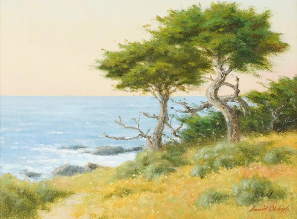 DAVID CHAPPLE (B. 1947): CARMEL COASTDavid