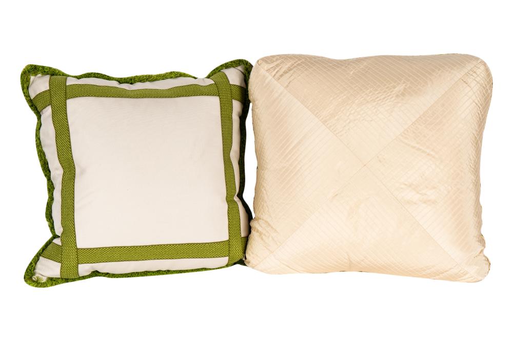 TWO THROW PILLOWSTwo Throw Pillows  3c8210