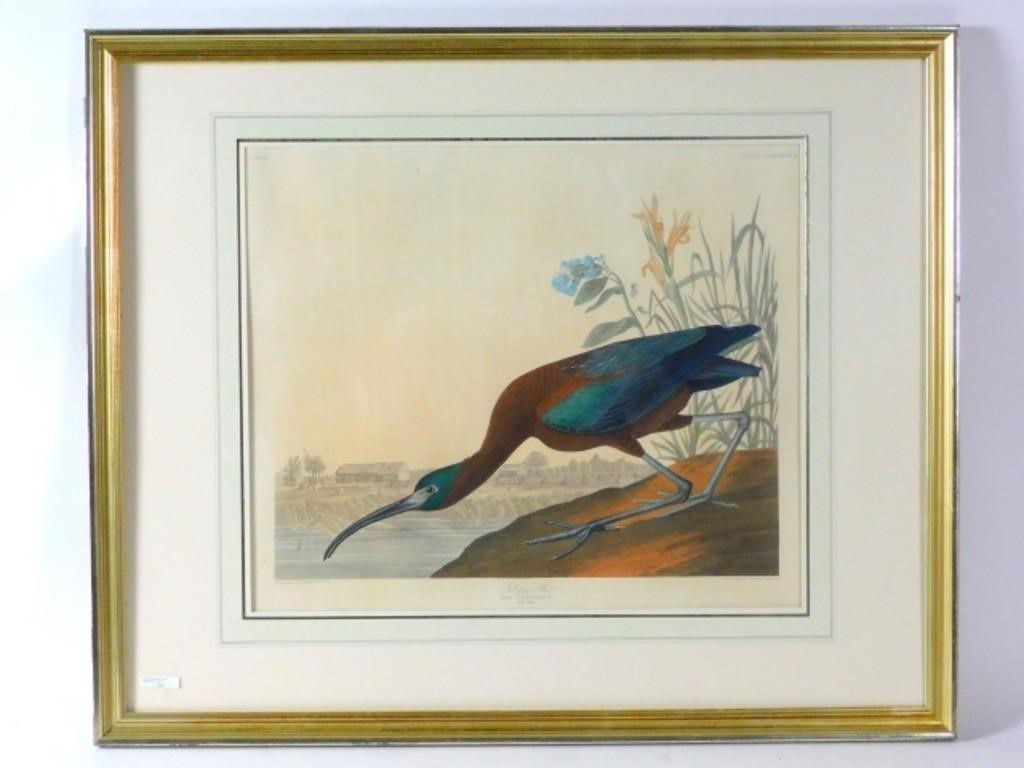 JOHN JAMES AUDUBON, 1785 TO 1851