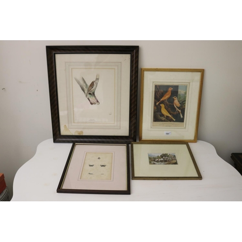 Selection of antique prints and 3c90c1