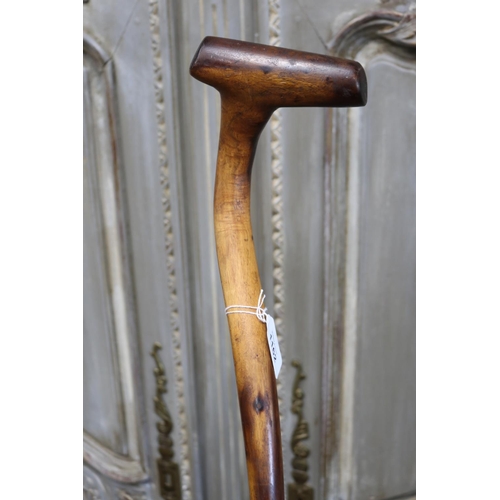 Australian mulga wood walking stick,