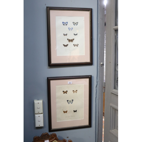 Two framed butterfly prints approx 3c927b