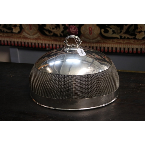 Antique gauze sided silver plated