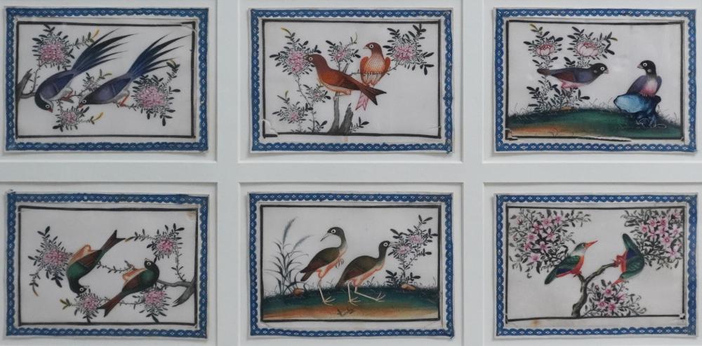 20TH CENTURY CHINESE SCHOOL BIRDS 3c723d