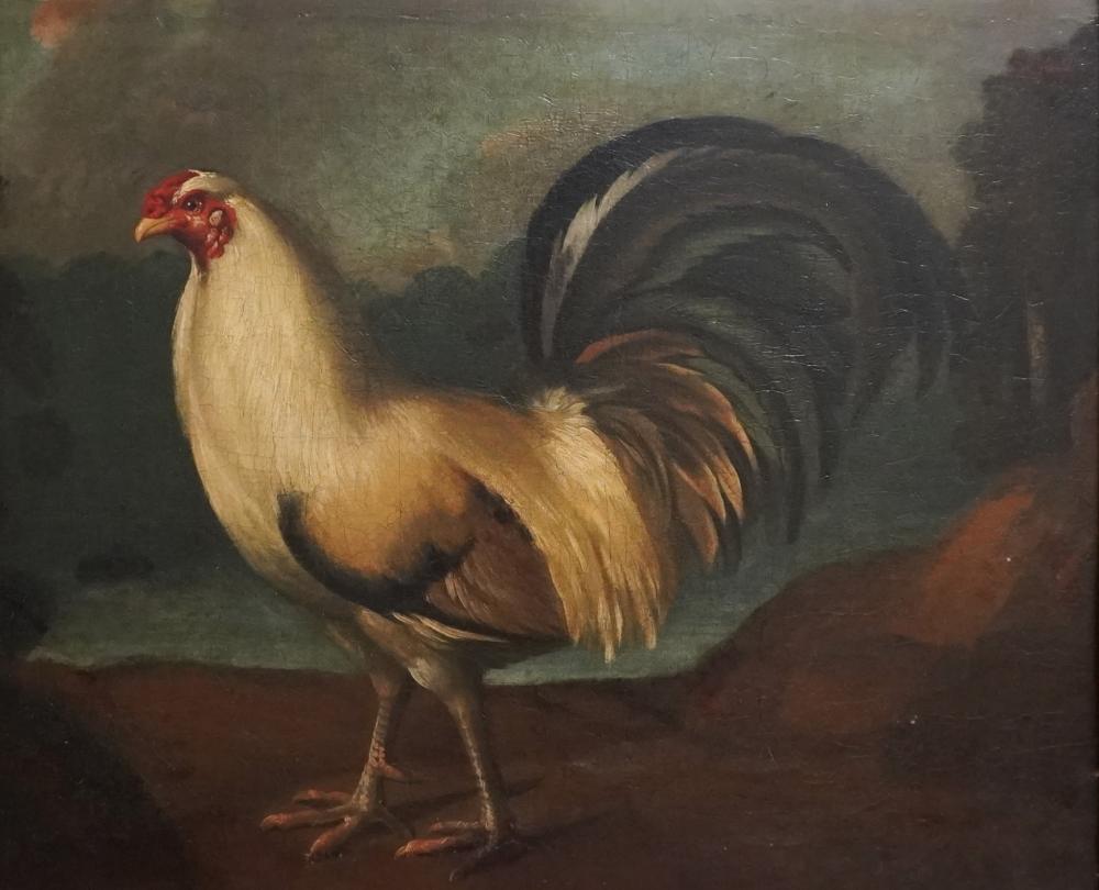 19TH CENTURY AMERICAN SCHOOL ROOSTER  3c7356