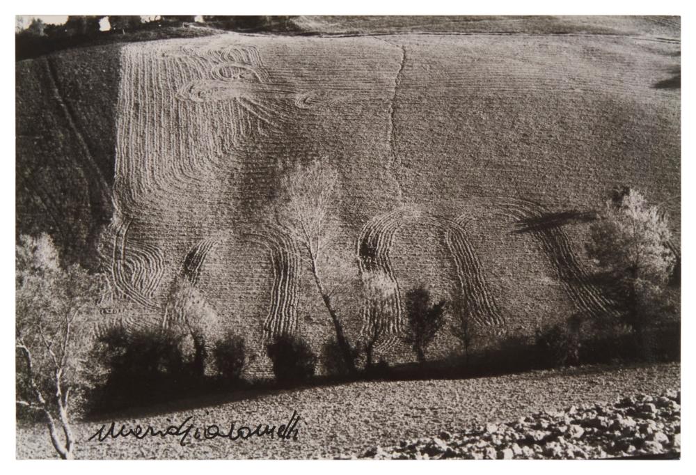 MARIO GIACOMELLI 1925 2000 METAMORPHOSIS 3c73ac