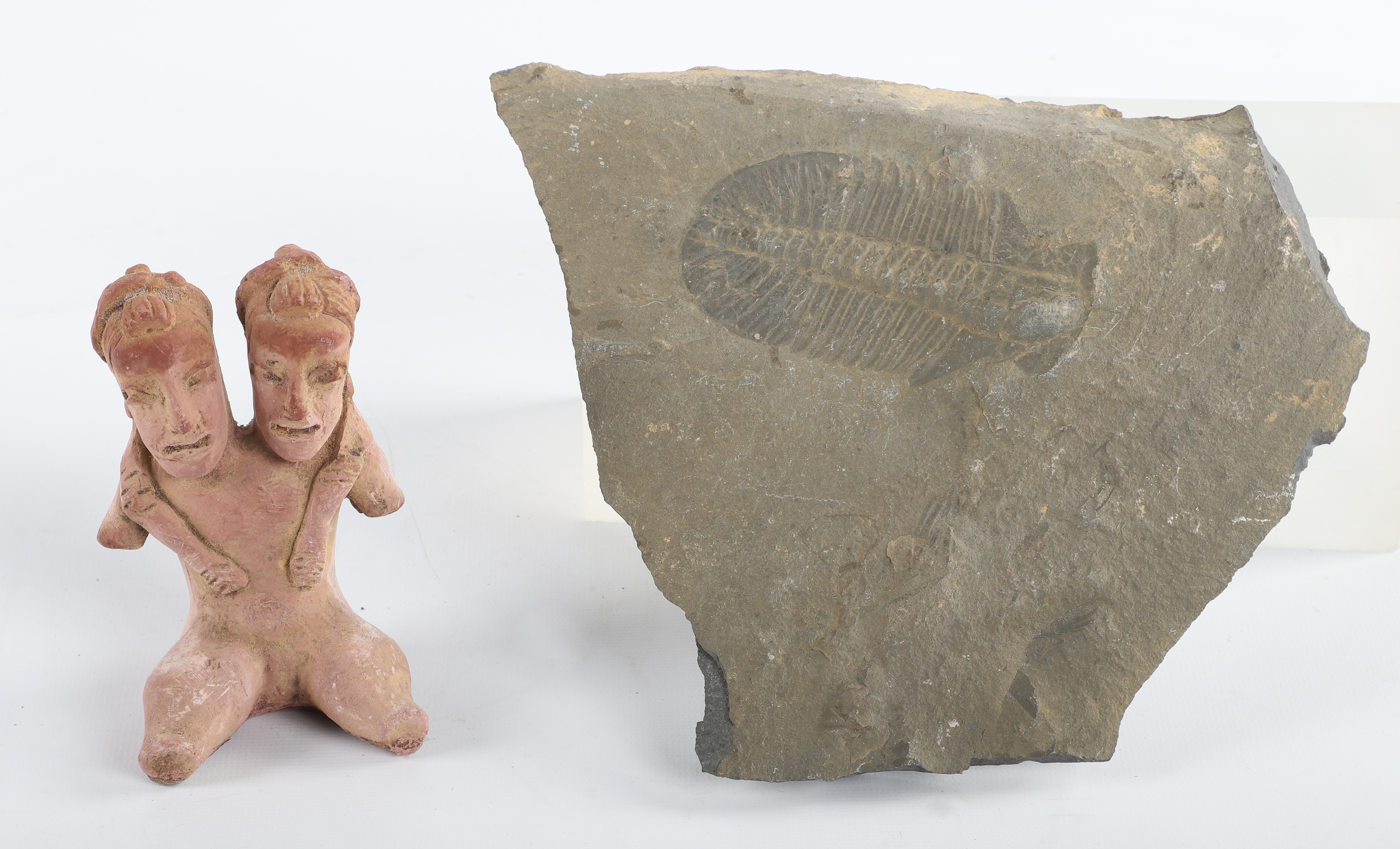 Trilobite and Pre-Columbian style