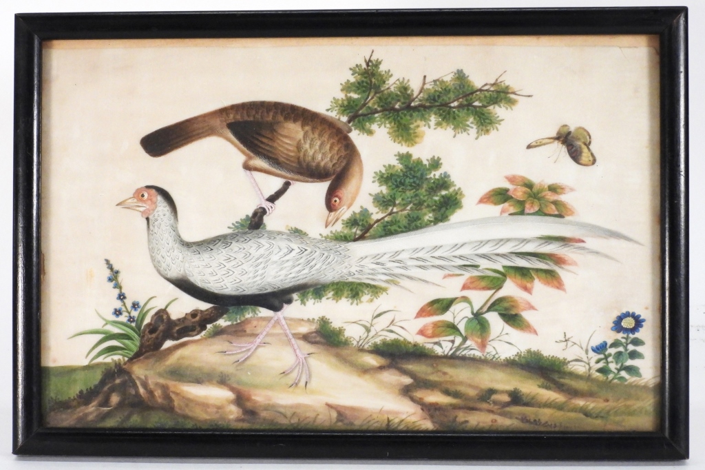 FINEST 19C CHINESE PHEASANT PITH 3ccc82