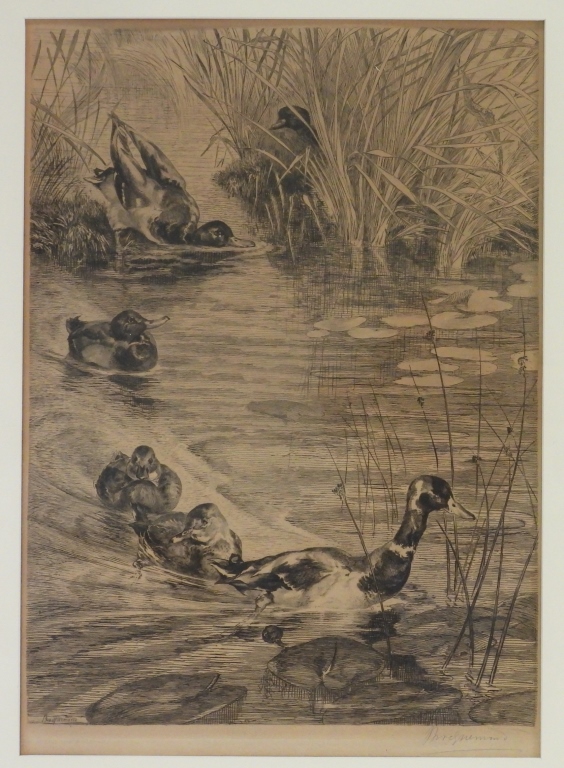 FELIX BRACQUEMOND DUCK POND ETCHING