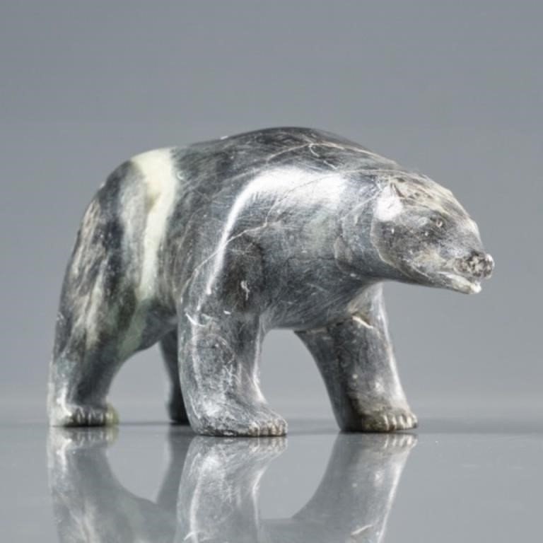 PROWLING POLAR BEARInteresting grey