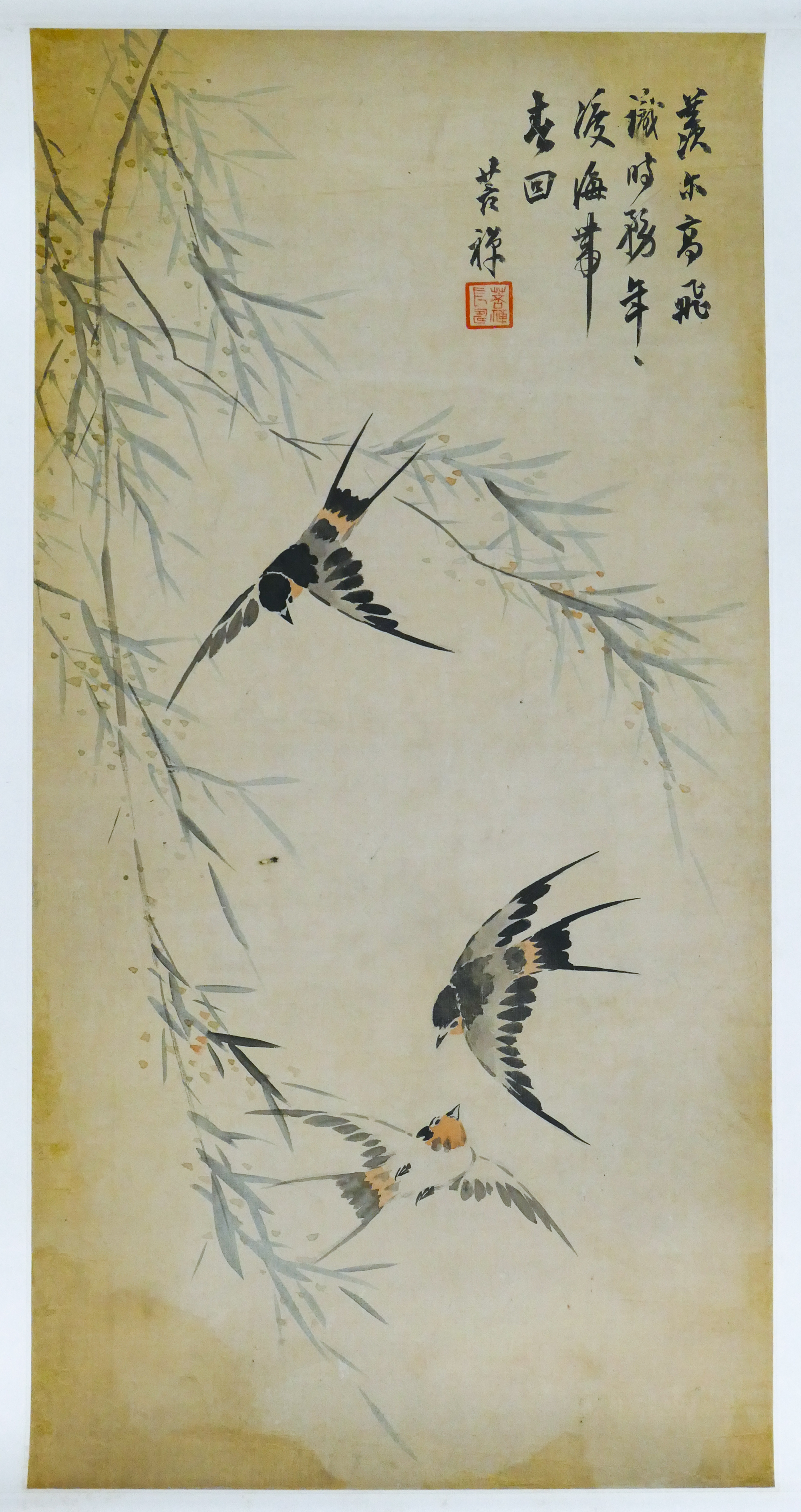 Fu Kuchen Swallow Birds Scroll Painting