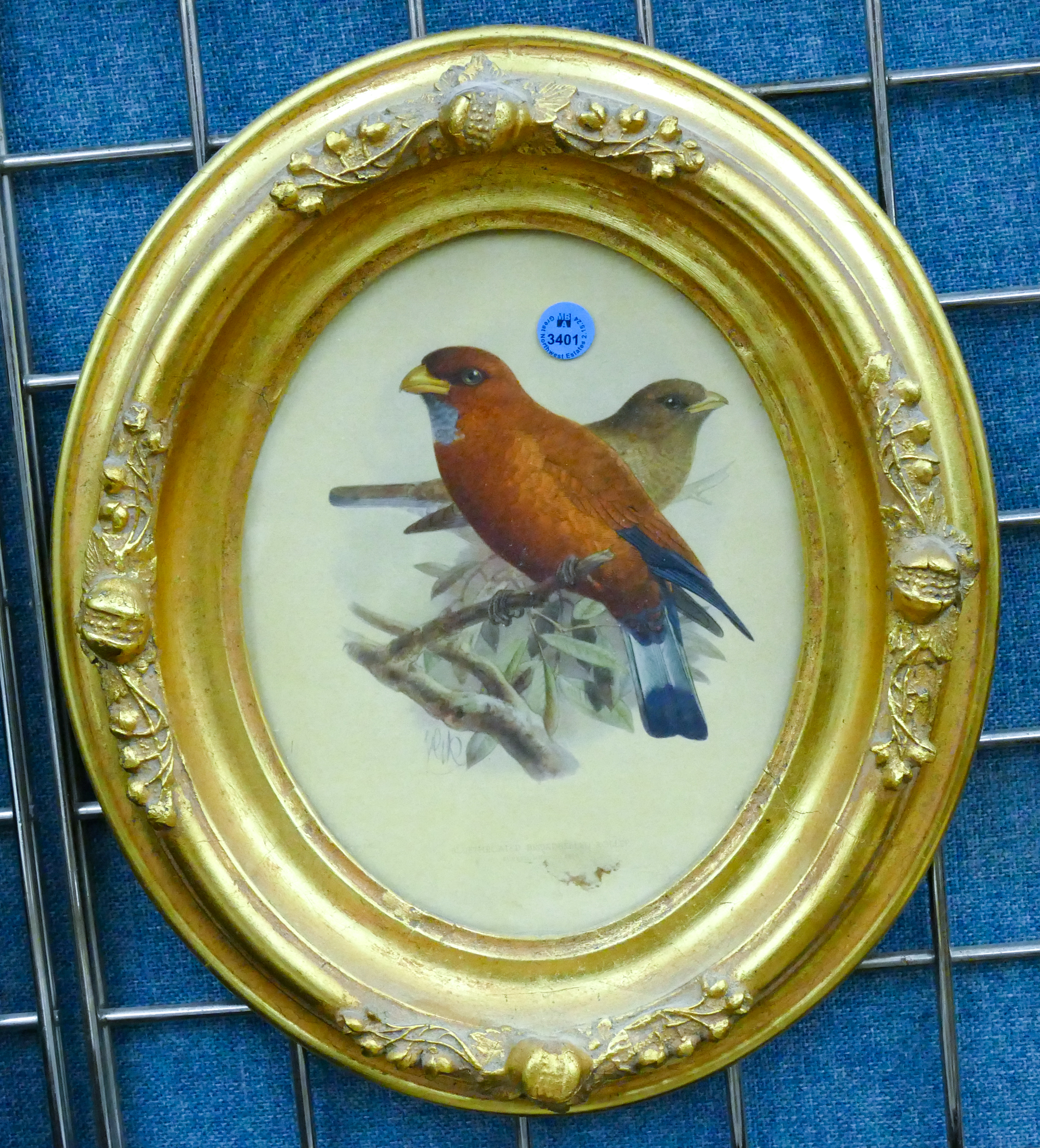 Antique Oval Bird Lithograph Gilt 3cfea9