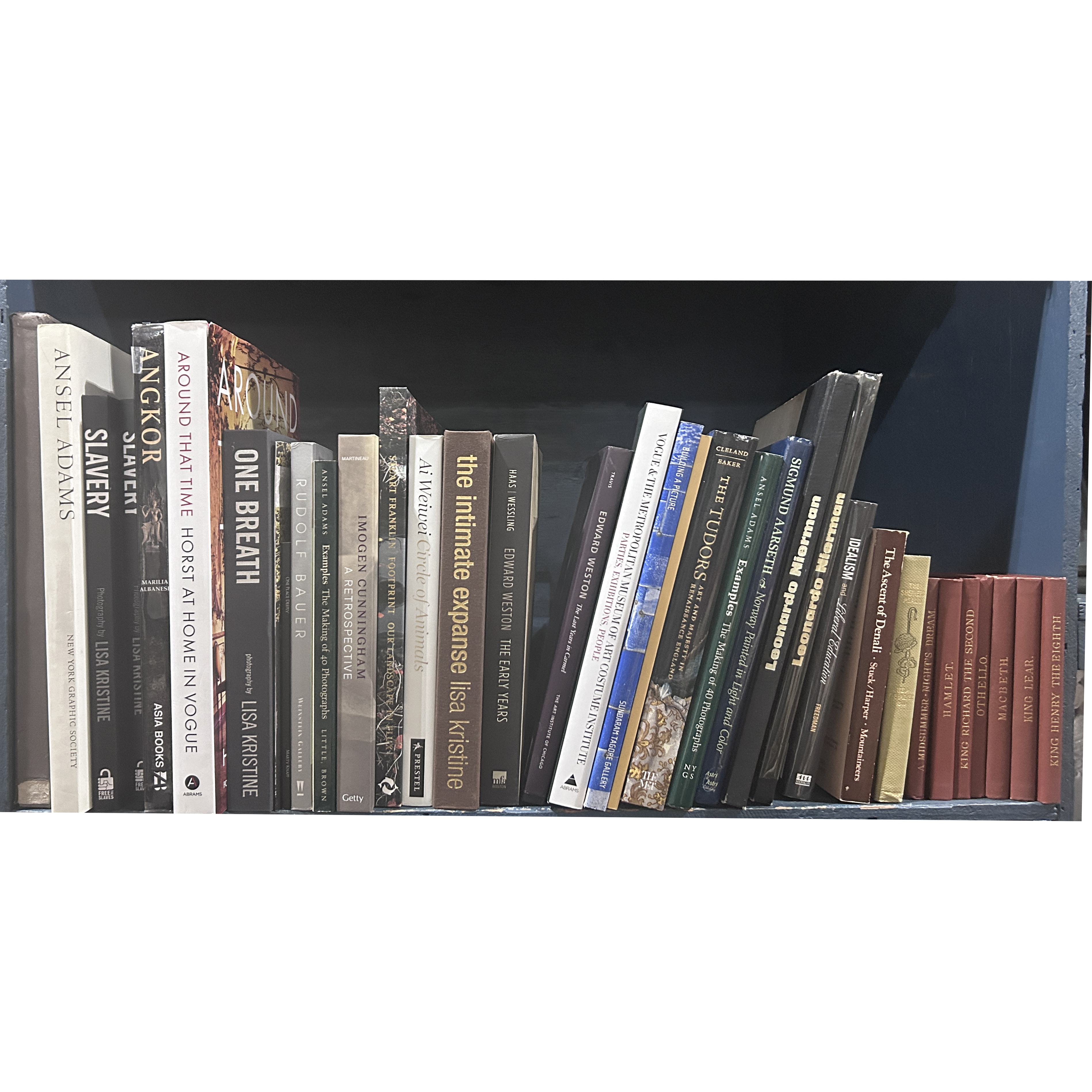 ONE SHELF OF BOOKS One shelf of 3ce411