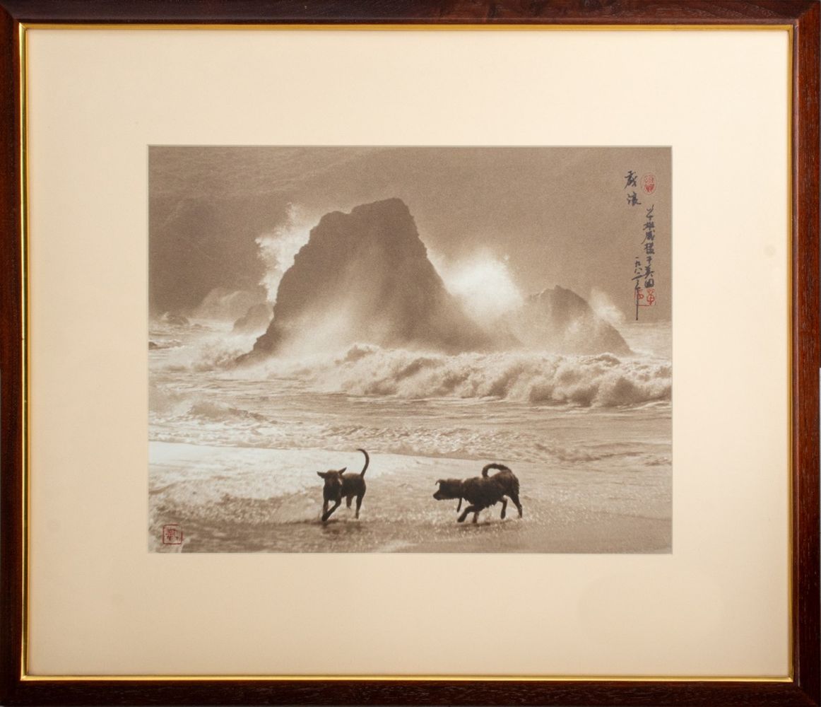 DON HONG OAI TWO DOGS 1990S 3ce6ab