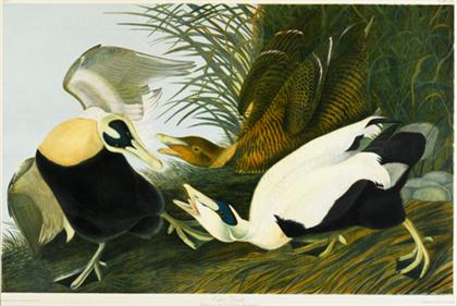 1 piece.  Chromolithograph.