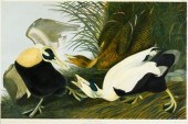 1 piece.  Chromolithograph. Au