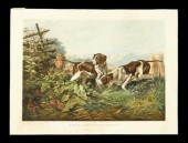 1 piece.  Hand-Colored Lithogr