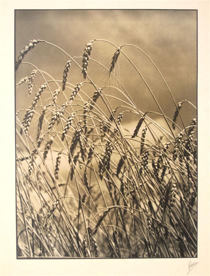 1 piece.  Original Photograph.